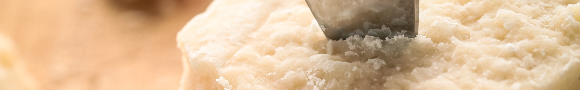 24-month aged Parmigiano Reggiano